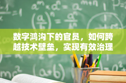 数字鸿沟下的官员，如何跨越技术壁垒，实现有效治理？