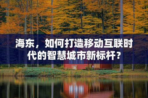 海东，如何打造移动互联时代的智慧城市新标杆？