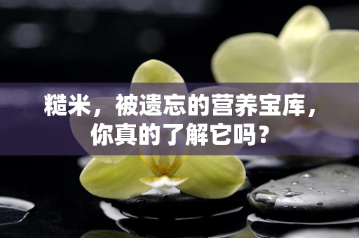 糙米，被遗忘的营养宝库，你真的了解它吗？