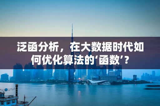 泛函分析，在大数据时代如何优化算法的‘函数’？
