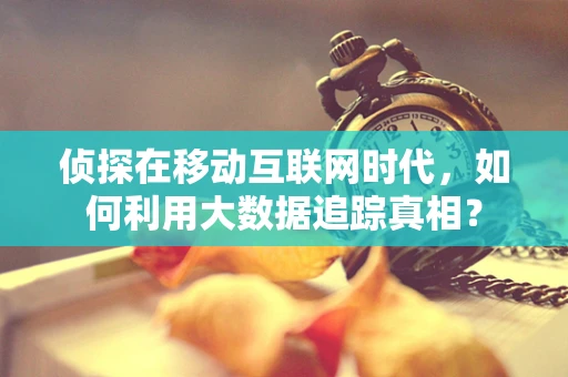 侦探在移动互联网时代，如何利用大数据追踪真相？