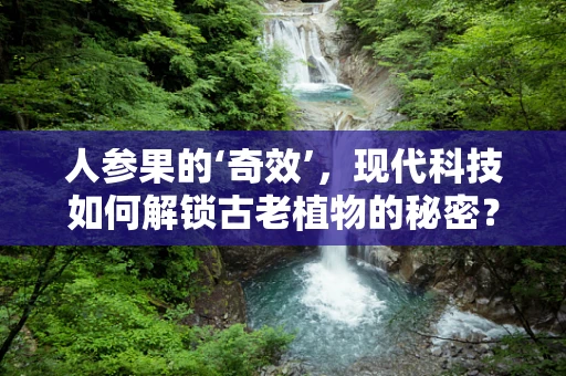 人参果的‘奇效’，现代科技如何解锁古老植物的秘密？