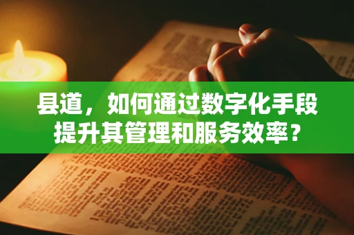 县道，如何通过数字化手段提升其管理和服务效率？