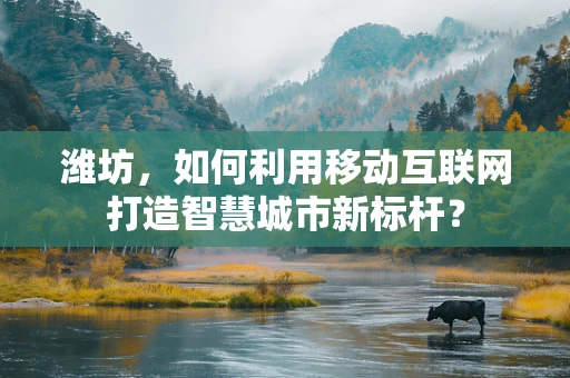 潍坊，如何利用移动互联网打造智慧城市新标杆？