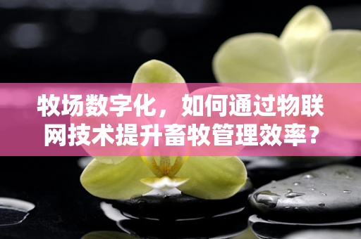 牧场数字化，如何通过物联网技术提升畜牧管理效率？