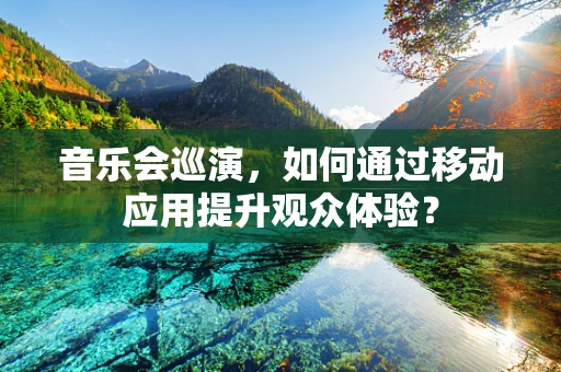音乐会巡演，如何通过移动应用提升观众体验？