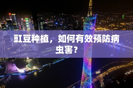 豇豆种植，如何有效预防病虫害？