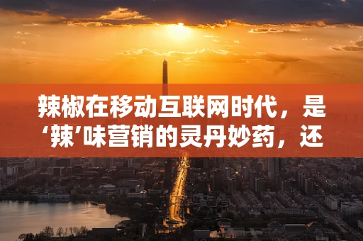 辣椒在移动互联网时代，是‘辣’味营销的灵丹妙药，还是用户体验的‘火辣’考验？