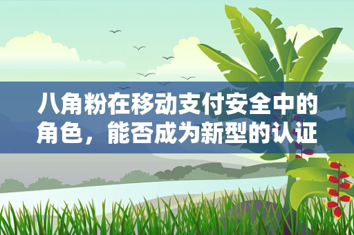 八角粉在移动支付安全中的角色，能否成为新型的认证手段？