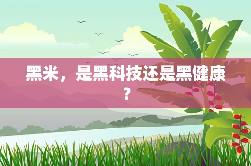 黑米，是黑科技还是黑健康？