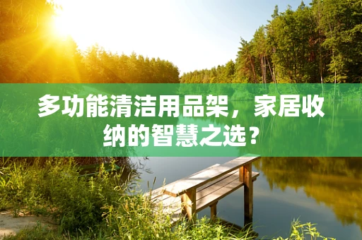 多功能清洁用品架，家居收纳的智慧之选？
