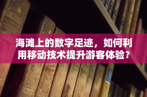 海滩上的数字足迹，如何利用移动技术提升游客体验？