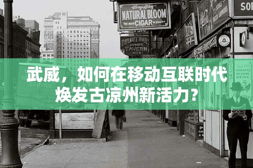 武威，如何在移动互联时代焕发古凉州新活力？