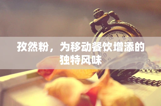 孜然粉，为移动餐饮增添的独特风味