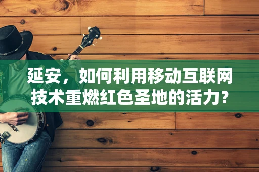 延安，如何利用移动互联网技术重燃红色圣地的活力？