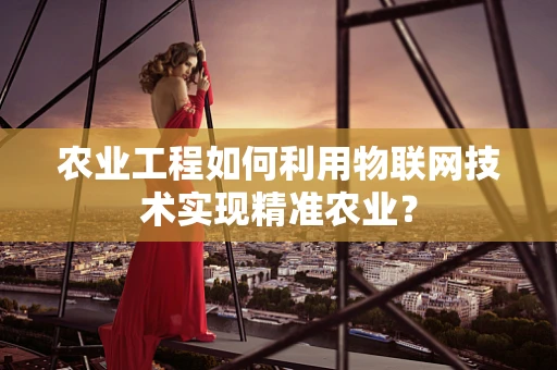 农业工程如何利用物联网技术实现精准农业？
