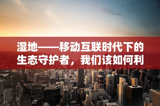 湿地——移动互联时代下的生态守护者，我们该如何利用科技力量保护它？