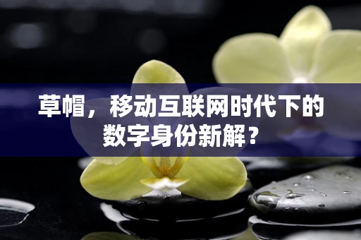 草帽，移动互联网时代下的数字身份新解？