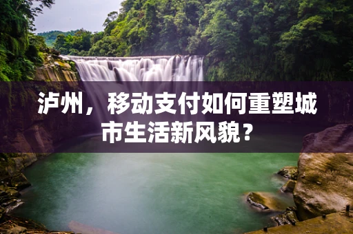 泸州，移动支付如何重塑城市生活新风貌？