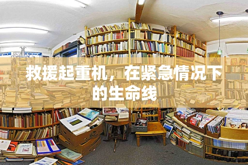 救援起重机，在紧急情况下的生命线