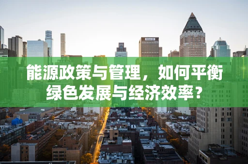 能源政策与管理，如何平衡绿色发展与经济效率？