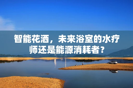 智能花洒，未来浴室的水疗师还是能源消耗者？