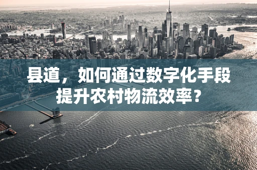 县道，如何通过数字化手段提升农村物流效率？