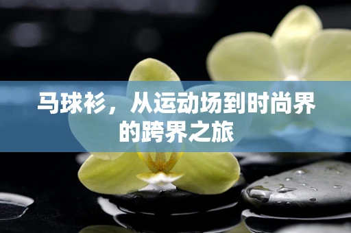 马球衫，从运动场到时尚界的跨界之旅