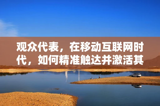 观众代表，在移动互联网时代，如何精准触达并激活其情感共鸣？