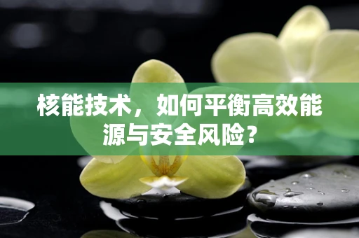核能技术，如何平衡高效能源与安全风险？