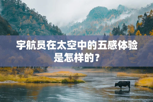 宇航员在太空中的五感体验是怎样的？