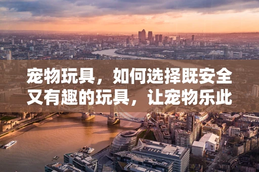 宠物玩具，如何选择既安全又有趣的玩具，让宠物乐此不疲？