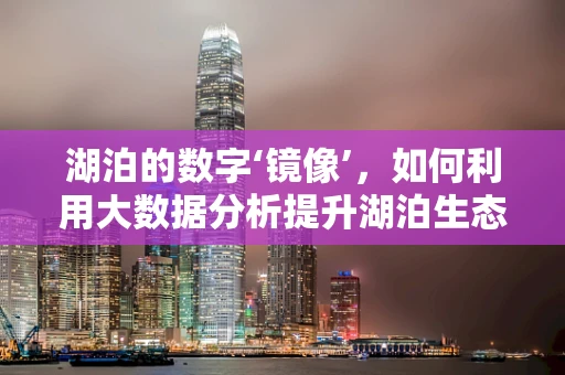 湖泊的数字‘镜像’，如何利用大数据分析提升湖泊生态环境保护？