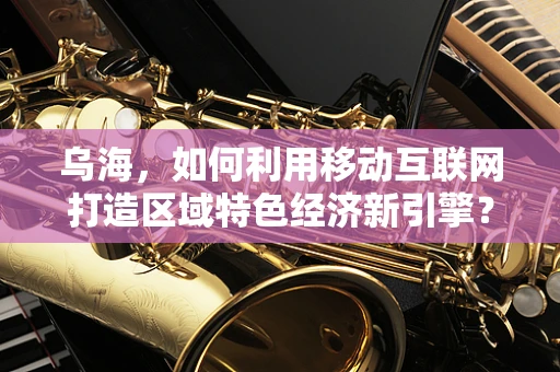 乌海，如何利用移动互联网打造区域特色经济新引擎？