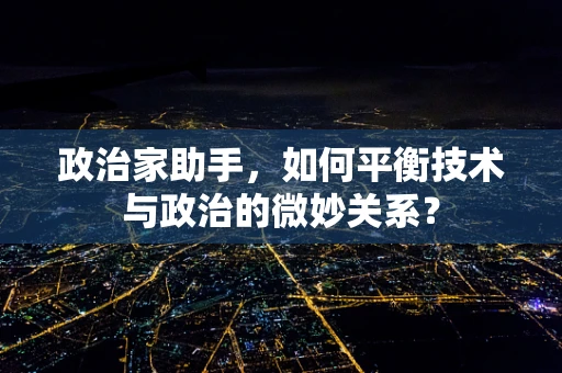 政治家助手，如何平衡技术与政治的微妙关系？