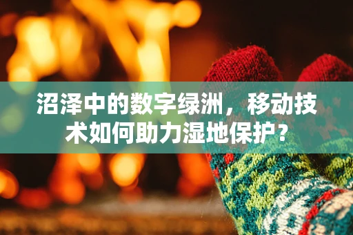 沼泽中的数字绿洲，移动技术如何助力湿地保护？