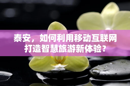 泰安，如何利用移动互联网打造智慧旅游新体验？