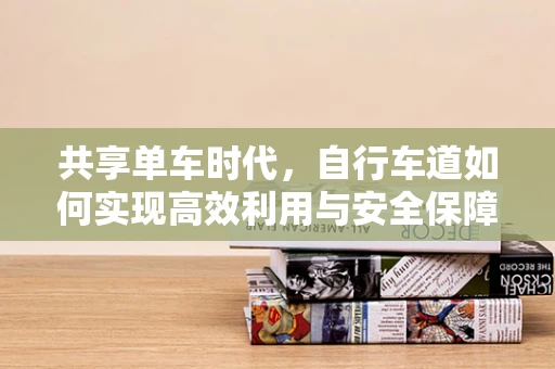 共享单车时代，自行车道如何实现高效利用与安全保障？