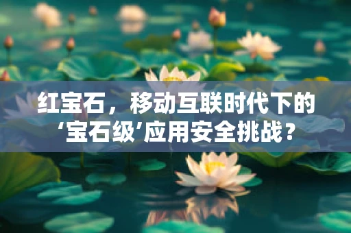 红宝石，移动互联时代下的‘宝石级’应用安全挑战？