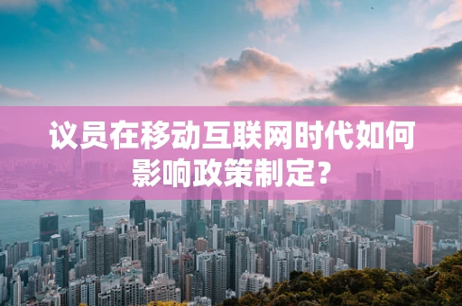 议员在移动互联网时代如何影响政策制定？