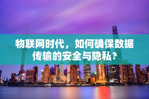 物联网时代，如何确保数据传输的安全与隐私？