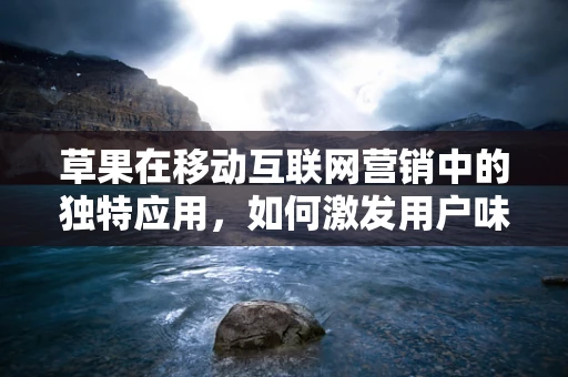 草果在移动互联网营销中的独特应用，如何激发用户味蕾的秘密武器？
