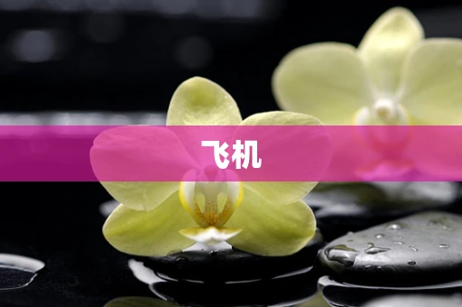 飞机