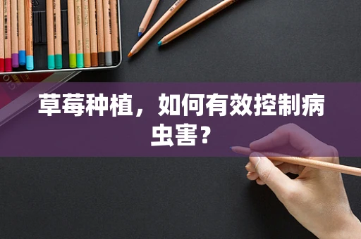 草莓种植，如何有效控制病虫害？