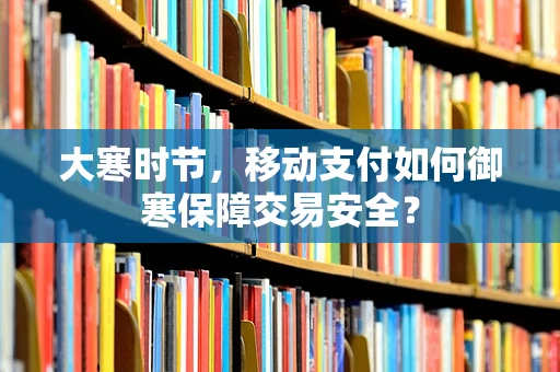 大寒时节，移动支付如何御寒保障交易安全？
