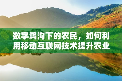数字鸿沟下的农民，如何利用移动互联网技术提升农业生产效率？