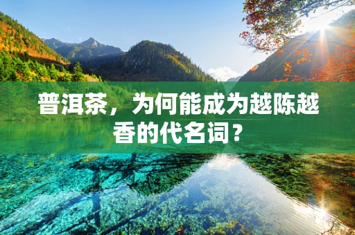 普洱茶，为何能成为越陈越香的代名词？