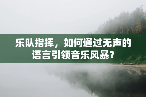 乐队指挥，如何通过无声的语言引领音乐风暴？