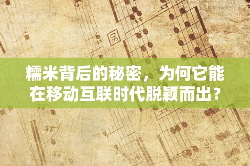 糯米背后的秘密，为何它能在移动互联时代脱颖而出？