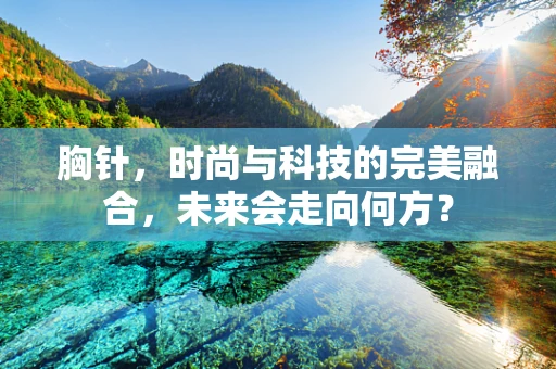 胸针，时尚与科技的完美融合，未来会走向何方？